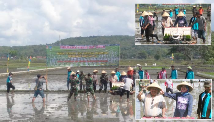 Musim Tanam I, Kebumen Serentak Olah Tanah dan Sebar Benih